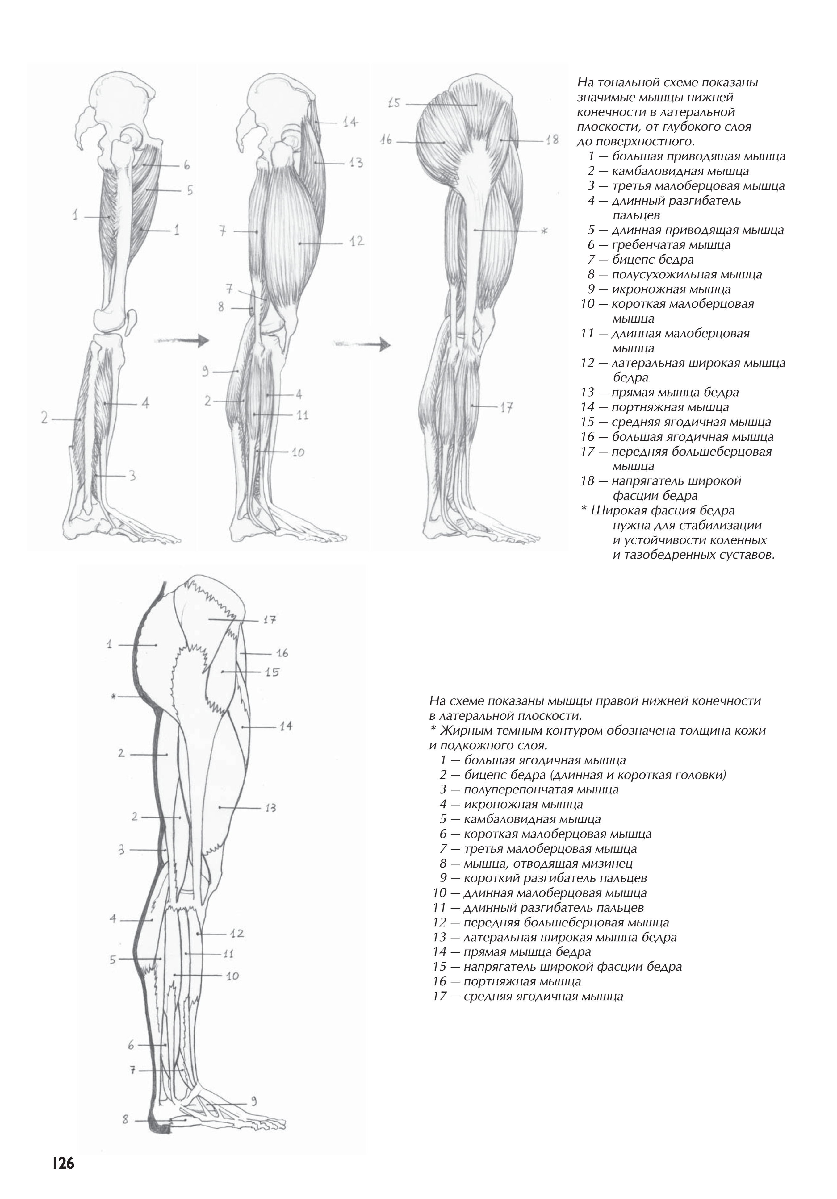 آموزش نقاشی طراحی سیاه قلم شهرری